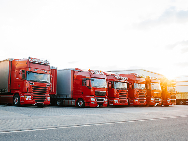 定期巡检，滤芯保养